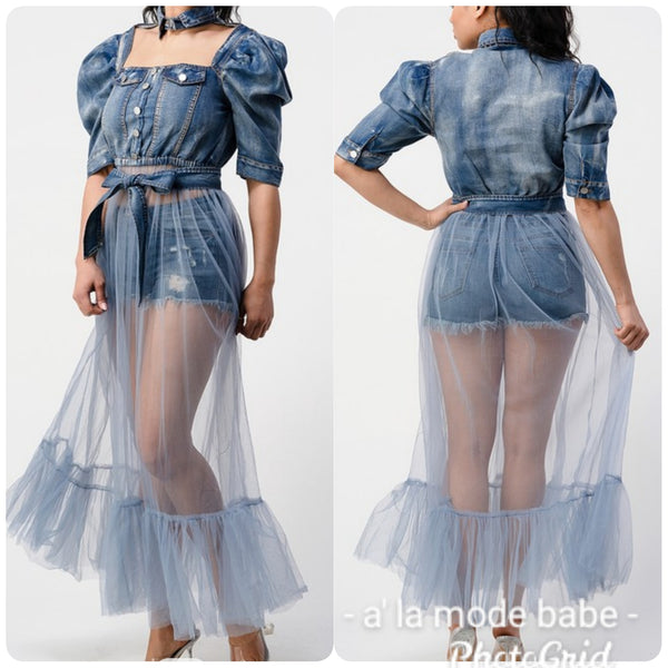 Denim Tulle Dress